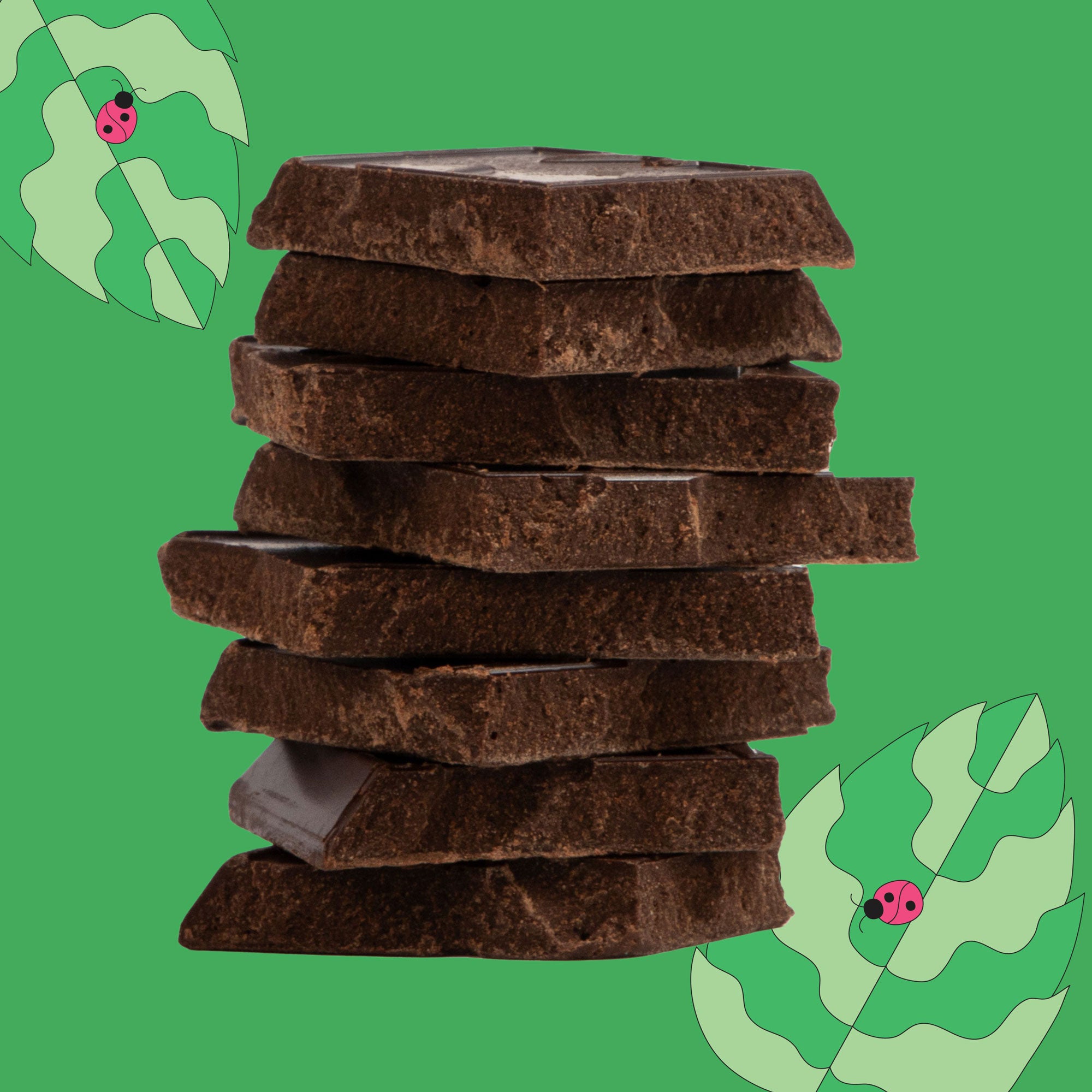 Mint Dark Chocolate Bar | Shop Gretchen's Garden Goodies by Maeve