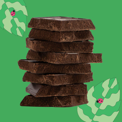 Mint Dark Chocolate Bar | Shop Gretchen's Garden Goodies by Maeve