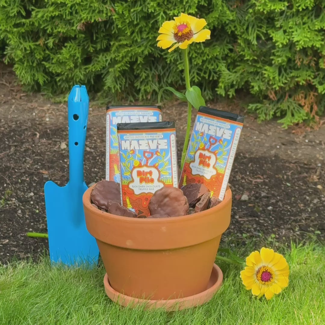 Preview image of video